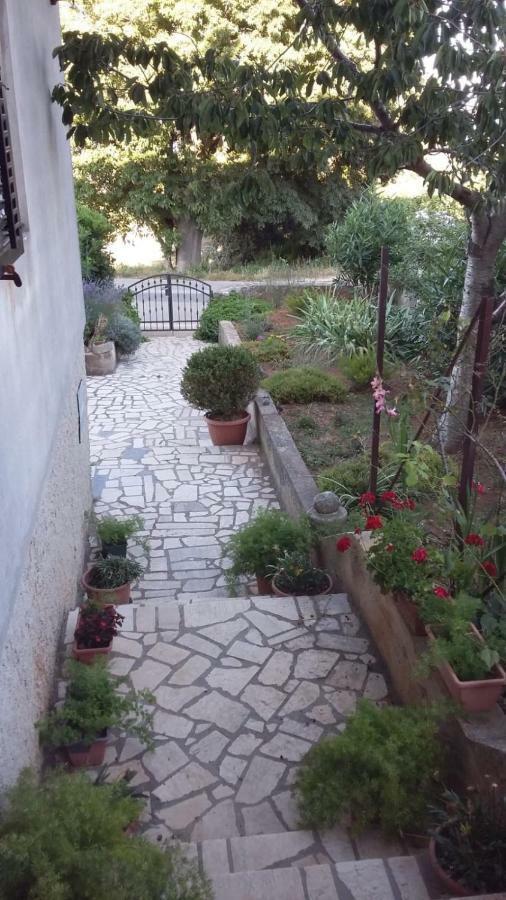 נזרין Naiadi Loft Apartment מראה חיצוני תמונה